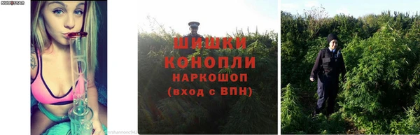 гашишное масло Армянск