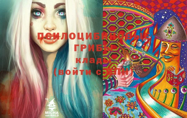 прущий лед Аркадак