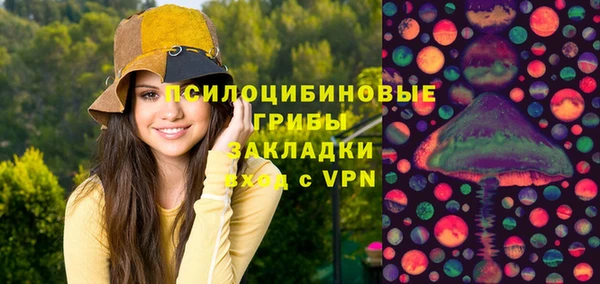 прущий лед Аркадак