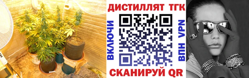 Дистиллят ТГК жижа  где купить   Заозёрный 